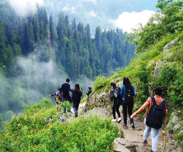 Expert Trek Leaders